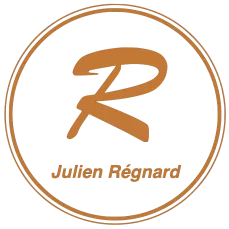 Julien Régnard Luthier