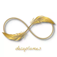 logo décoplumes sigle infini doré entouré de deux plumes