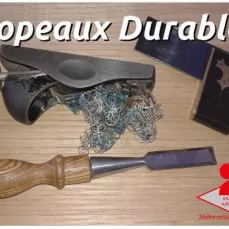 Logo Copeaux Durables, marque déposée à l'INPI - Titre Maître Artisan d'Art Ebéniste