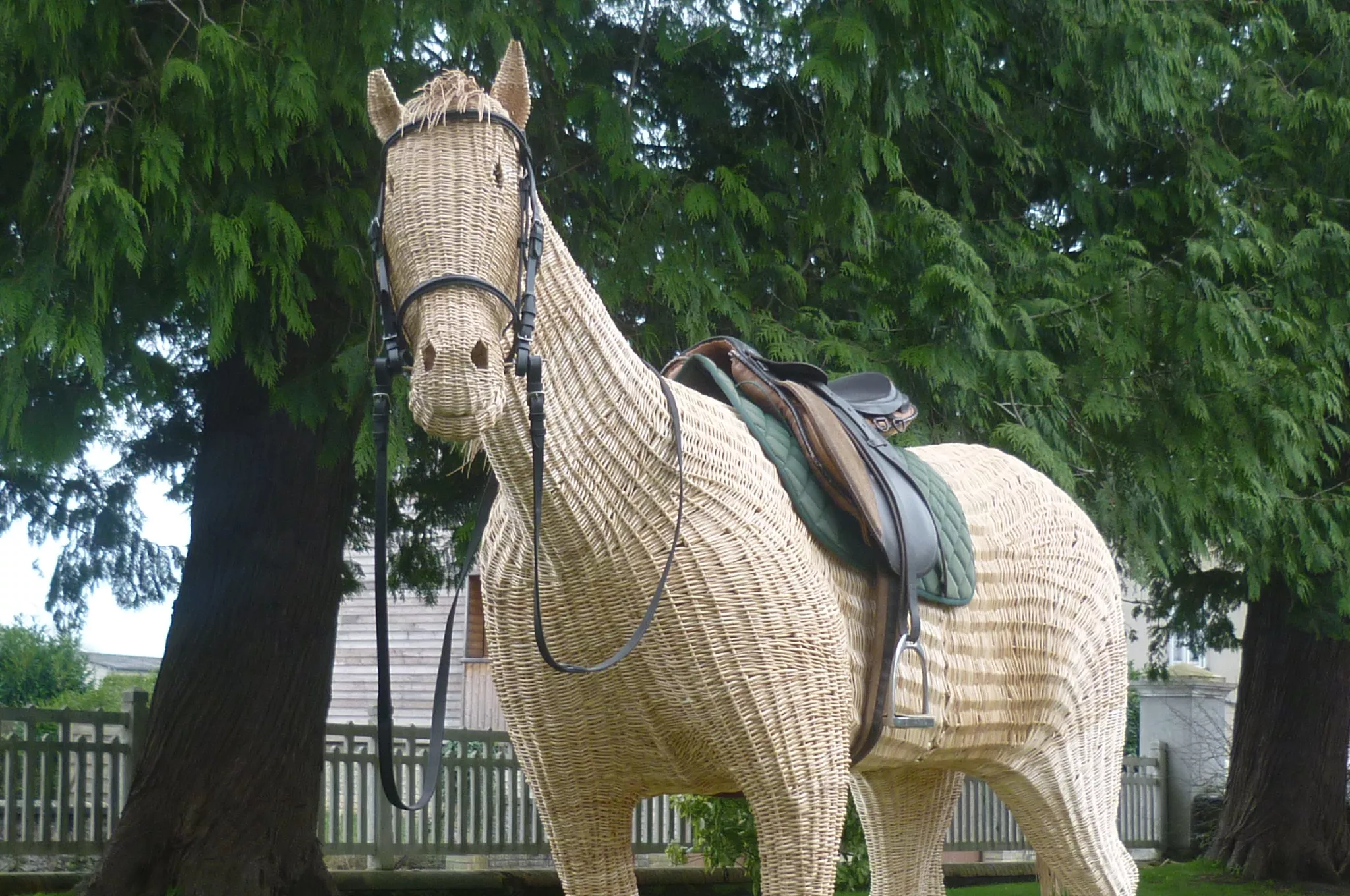 Cheval tressé grandeur nature, tout en osier.