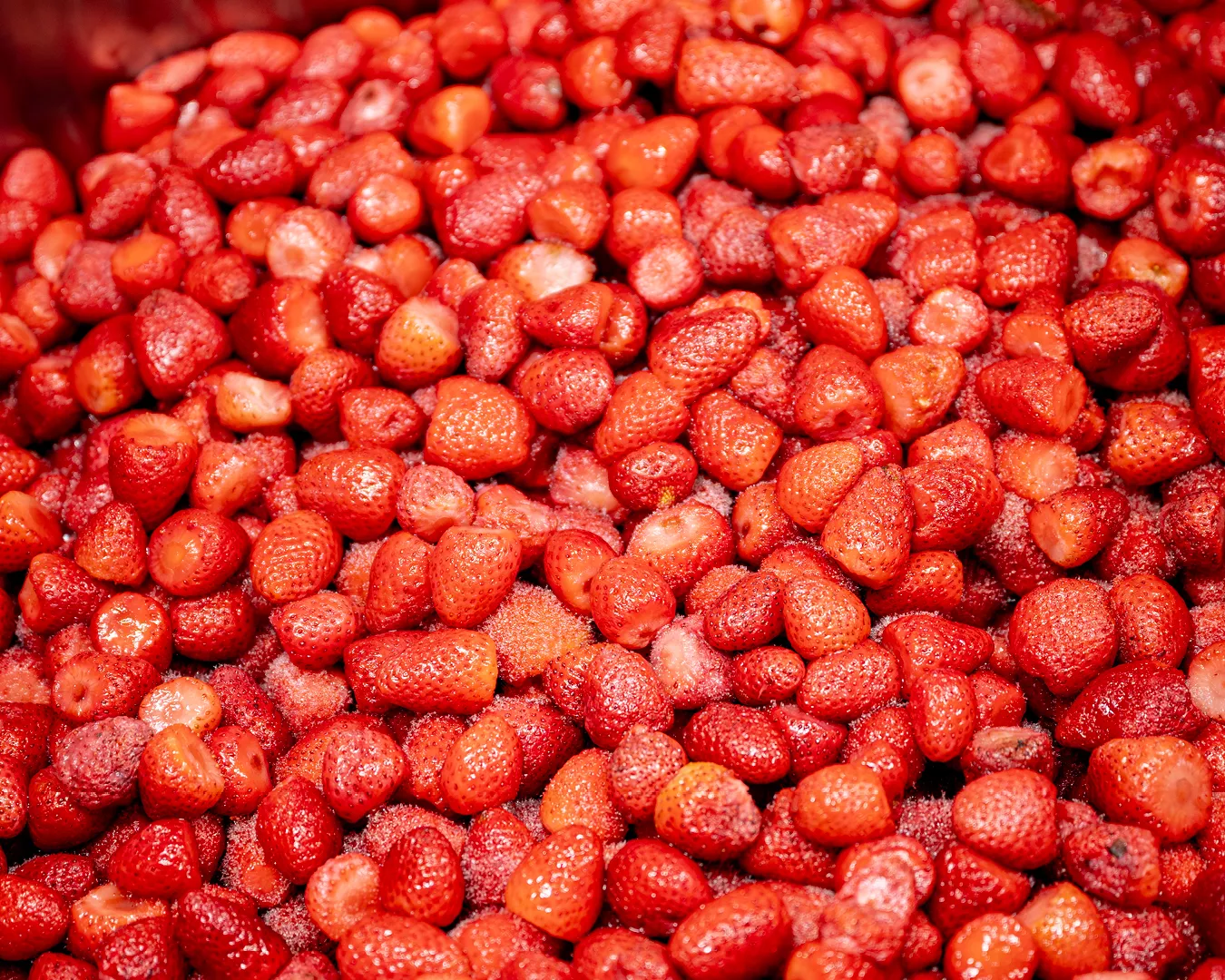 Une abondance de fraises juteuses et mûres saupoudrées de sucre cristallin, prêtes pour la préparation de confiture. Les fraises brillent sous un éclairage chaleureux, évoquant l'image d'une cuisson artisanale. La texture est riche et la couleur rouge vive des fraises ressort, promettant une saveur intense et naturelle