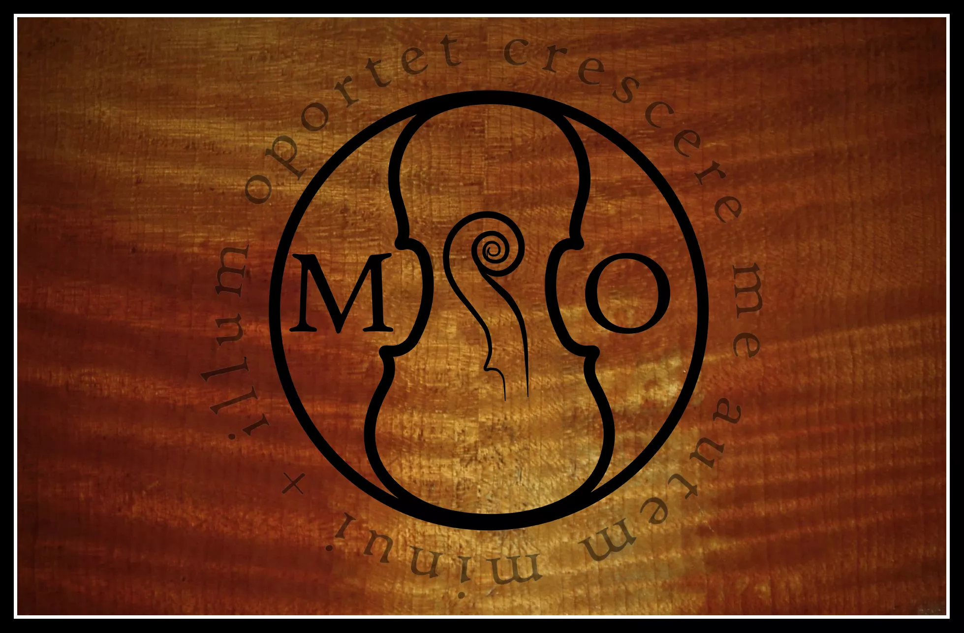 Logo sur fond de violon