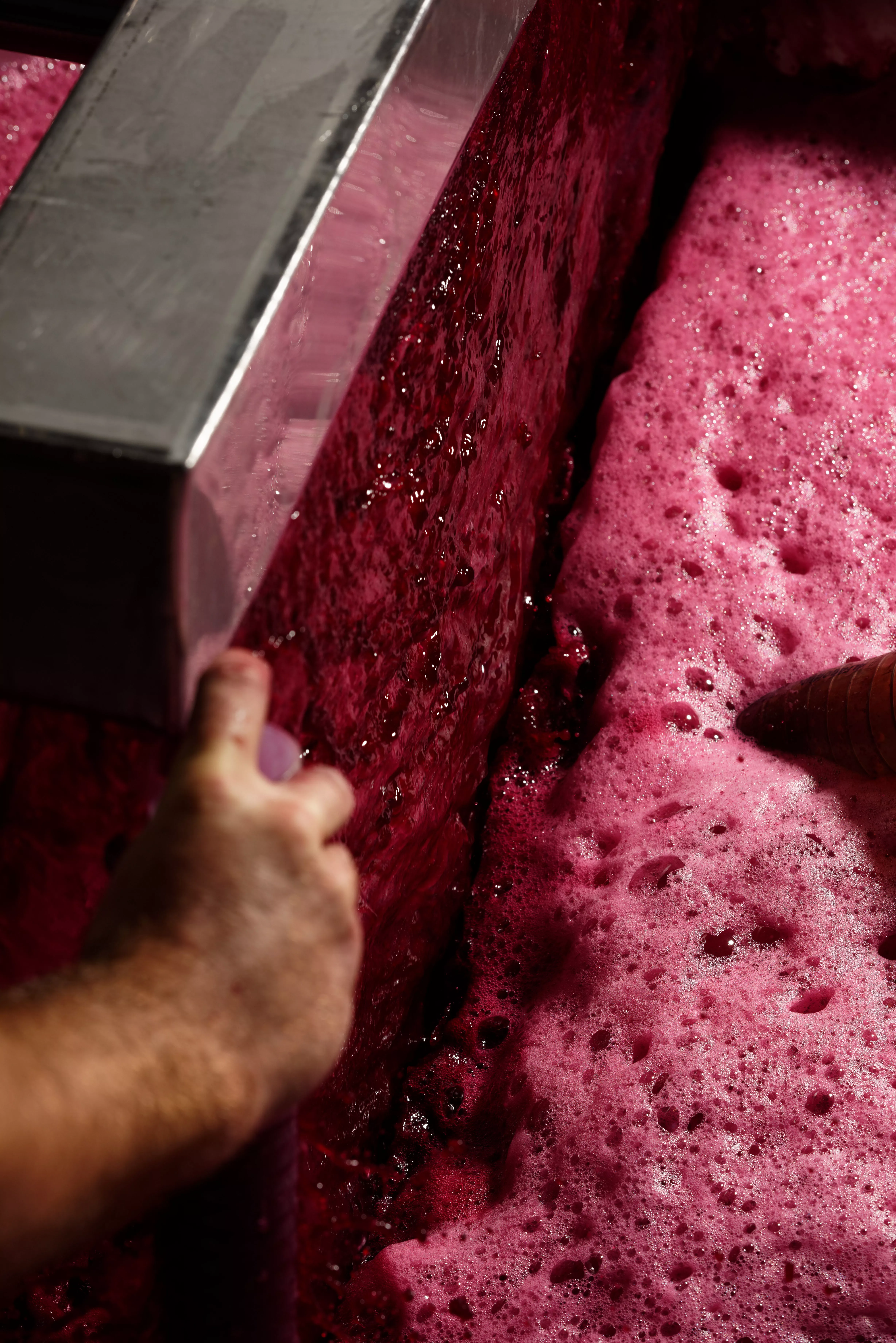 Remontage au Château Rauzan-Gassies - Pumping over at Château Rauzan-Gassies