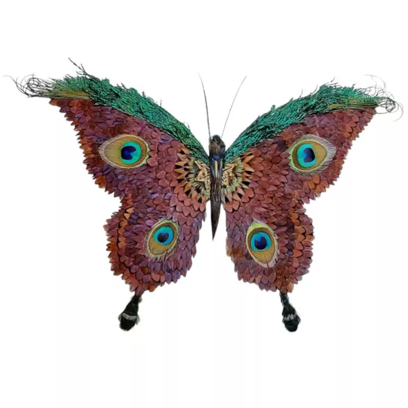 decoplumes : papillon réalisé avec des plumes de faisan et de paon