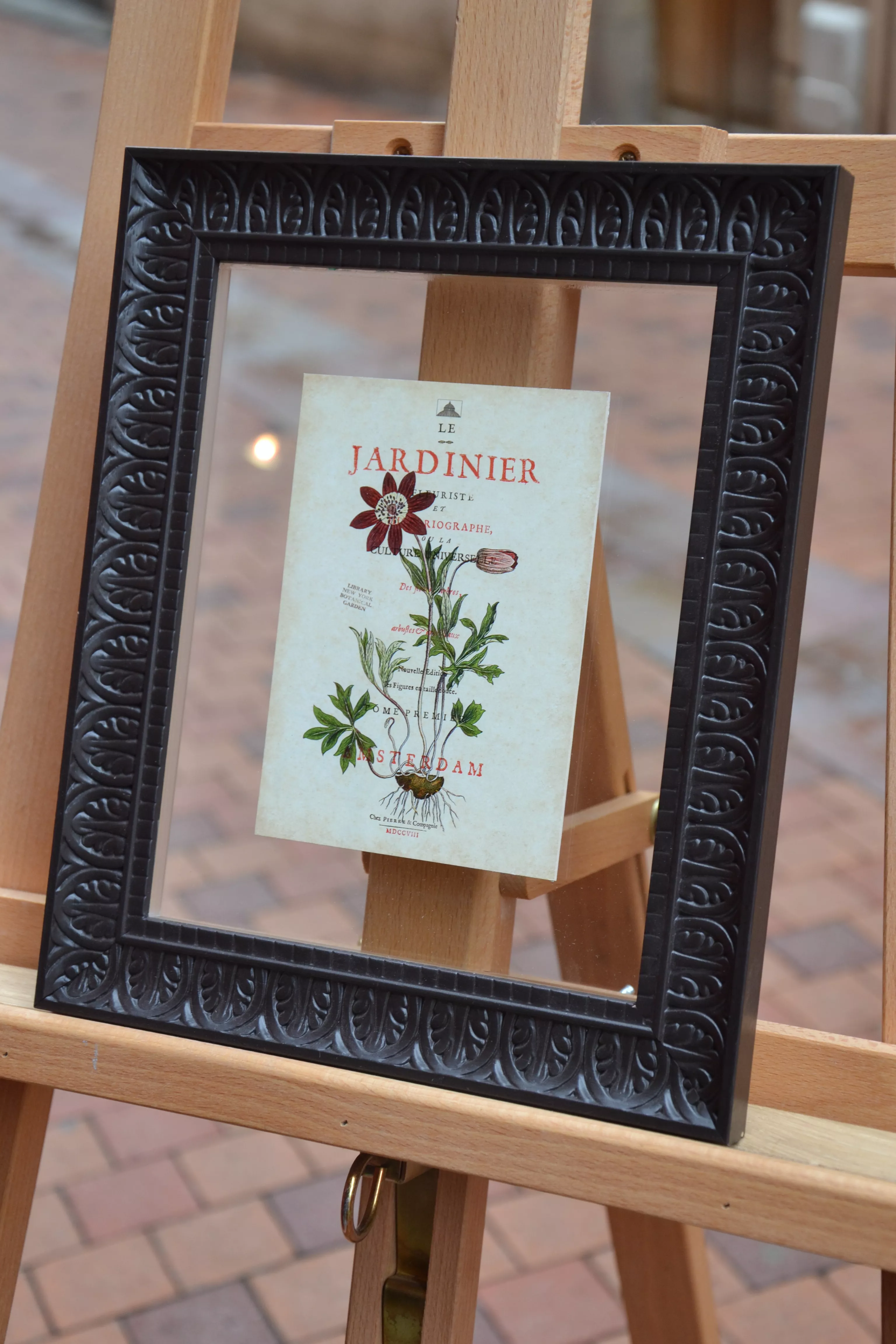 Fleurs sous-verre