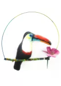 Toucan - sculpture en laine feutrée