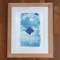 cyanotype encadré