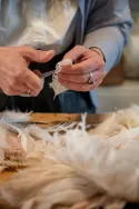 Plumasserie