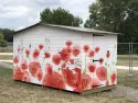 Décor d'un chalet pour lIe de France fête le théâtre