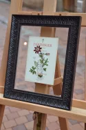 Fleurs sous-verre