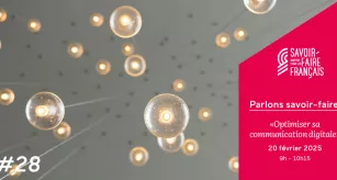 28ème Webinaire